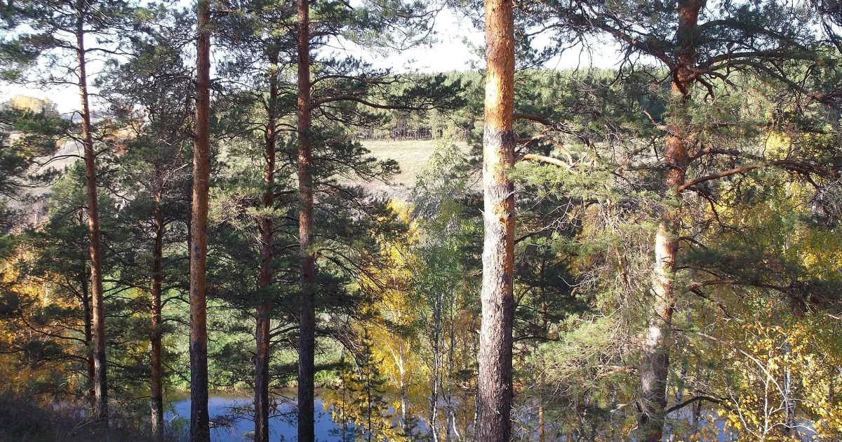 Баландино — вид аэропорта